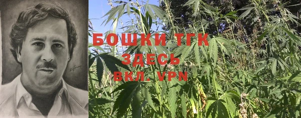 спиды Няндома