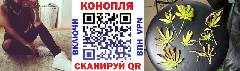 Купить  Кингисепп  Конопля Bruce Banner 